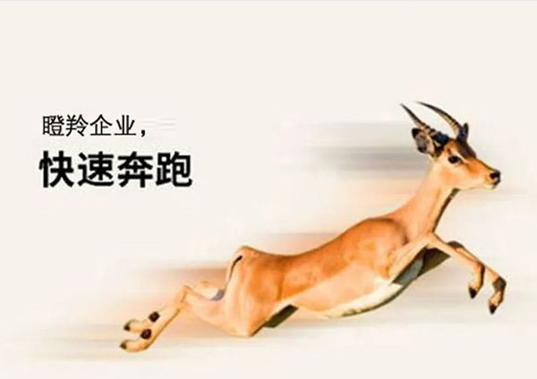 喜報！廣州研恒入選廣州市“瞪羚企業”